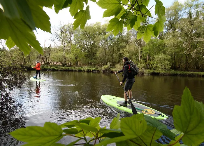 Ealu 旅馆 斯莱戈
